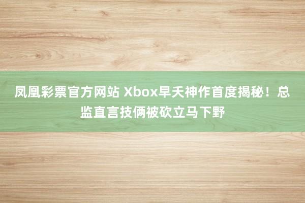 凤凰彩票官方网站 Xbox早夭神作首度揭秘！总监直言技俩被砍立马下野