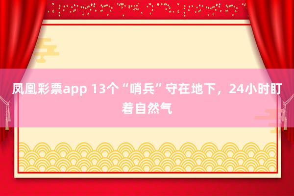 凤凰彩票app 13个“哨兵”守在地下，24小时盯着自然气
