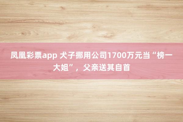 凤凰彩票app 犬子挪用公司1700万元当“榜一大姐”，父亲送其自首