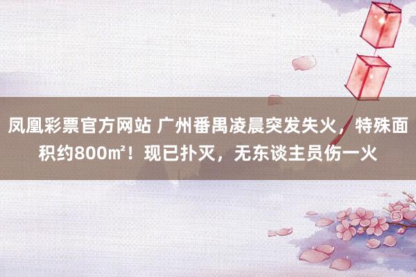 凤凰彩票官方网站 广州番禺凌晨突发失火，特殊面积约800㎡！现已扑灭，无东谈主员伤一火