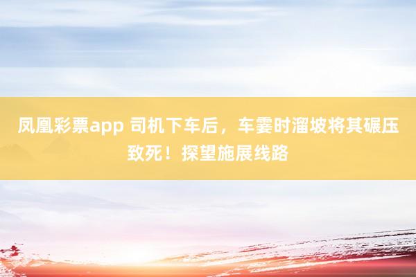 凤凰彩票app 司机下车后，车霎时溜坡将其碾压致死！探望施展线路