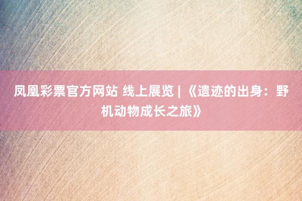 凤凰彩票官方网站 线上展览 | 《遗迹的出身：野机动物成长之旅》
