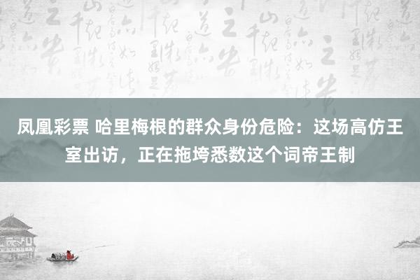 凤凰彩票 哈里梅根的群众身份危险：这场高仿王室出访，正在拖垮悉数这个词帝王制