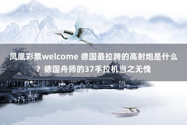 凤凰彩票welcome 德国最拉跨的高射炮是什么？德国舟师的37手拉机当之无愧