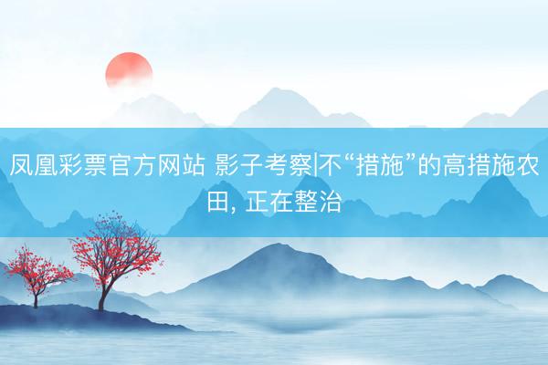 凤凰彩票官方网站 影子考察|不“措施”的高措施农田， 正在整治