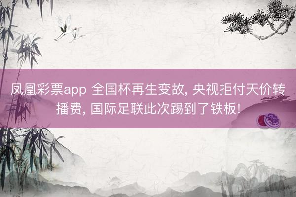 凤凰彩票app 全国杯再生变故， 央视拒付天价转播费， 国际足联此次踢到了铁板!