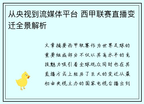 从央视到流媒体平台 西甲联赛直播变迁全景解析