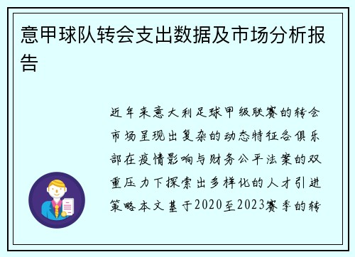 意甲球队转会支出数据及市场分析报告