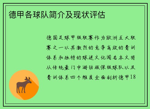 德甲各球队简介及现状评估